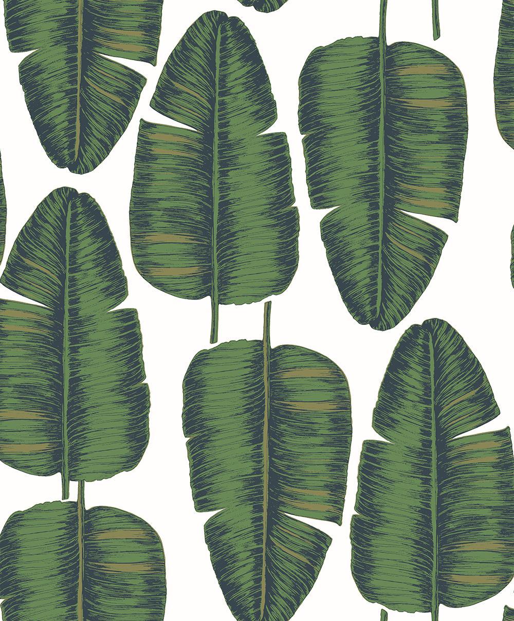 Wallpaper MT778402